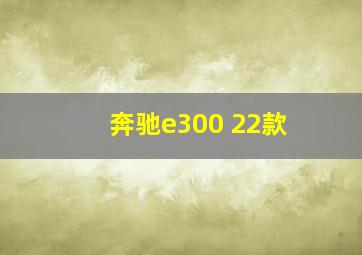 奔驰e300 22款